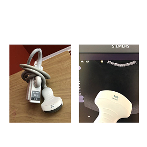 Conector Transdutor Siemens Convexo 6c2