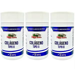 Kit 3 Colágeno Tipo II 500 mg 30 caps - Rei Terra