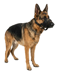 Focinheira em Fita com Tela Space