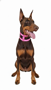 Coleira Illusion Encantador de Cães – Controle e Adestramento Profissional