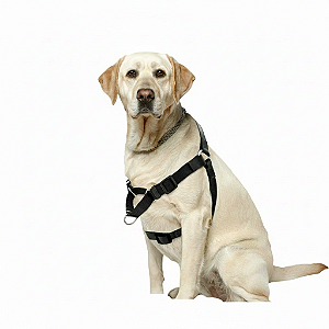 Peitoral Easy com Guia para Cães – Ajustável