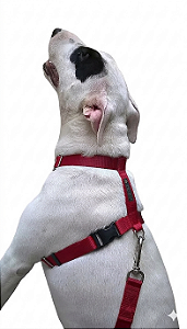 Kit Peitoral Safely Dog Vermelha l Guia + Cinto de Segurança para Cães