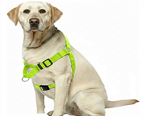 Peitoral Easy para Cães – Ajustável