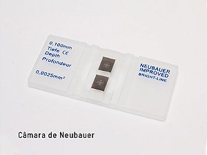 Câmaras de contagem de células - Câmara de Neubauer espelhada e melhorada PERFECTA