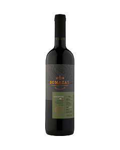 SANGIOVESE 2024