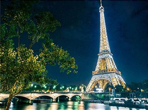 Pintura Numerada Torre Eiffel a Noite Tecido Pincéis e Tintas E786
