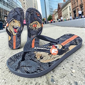 Chinelo Ipanema Infantil Jurassic Park - Cinza