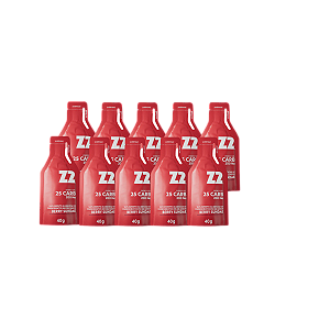 ENERGY GEL Z2 - BERRY SUNDAE (25CARB) - CX C/ 10un - Z2