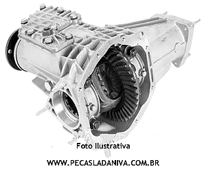 Diferencial Dianteiro Completo Niva 10x41 (Usado) Ref. 0271