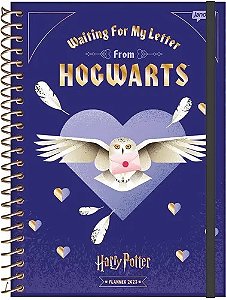 Planner Edwiges Harry Potter 2023 | Jandaia