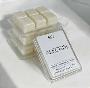 Pastilha de Cera Wax Melt Alecrim