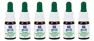 Kit Micotin 10ml - RHR com 6 unids