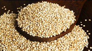 QUINUA GRAO GRANEL 100g