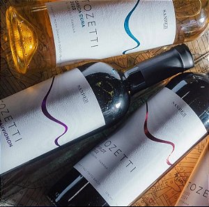 Caixa com 6 unidades Vinhos Sanber Premiados - Casca Dura - Merlot e Cabernet