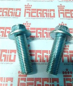 JOGO PARAFUSO PINÇA YBR 125/FACTOR (REGGIO) k