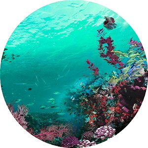 Painel de Festa em Tecido - Fundo do Mar Verde Água Corais