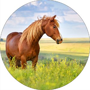 Painel De Festa Redondo 1,50x1,50 - Cavalo no Pasto 001
