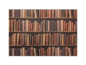 Fundo Fotográfico 2,20 x 1,50 -  Estante De Livros 002