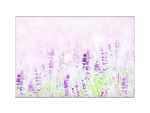 Fundo Fotográfico 2,20 x 1,50 -  Flores Lavanda Claro 010