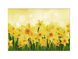 Fundo Fotográfico 2,20 x 1,50 - Flores Narcisos Amarelos 024
