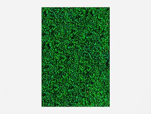 Painel De Festa Vertical 1,50 x 2,20 -  Efeito Muro Inglês Folhagens Verde 007