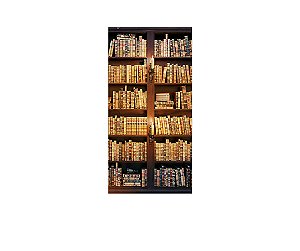 Painel De Festa Vertical 1,00x2,00 -  Biblioteca 001