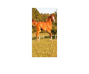 Painel De Festa Vertical 1,00 x 2,00 - Cavalo Correndo no Pasto 008