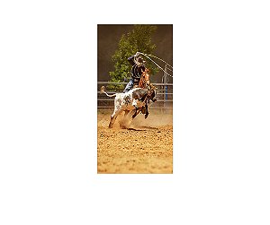 Painel De Festa Vertical 1,00 x 2,00 - Cowboy Vaquejada Realista 013