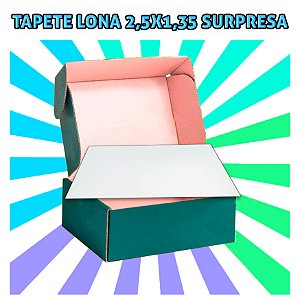 Tapete em Lona - Tema Surpresa - Mega Liquida.