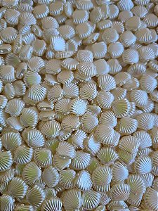 Pérola de ABS Concha Marfim 11mm (10gr - Aprox. 37un)