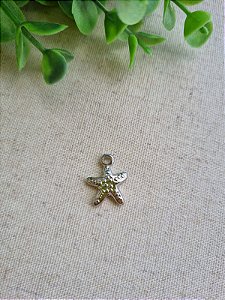 Pingente Estrela do Mar Níquel (Un)