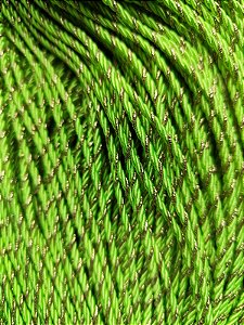 Fio Marroquino Verde com Dourado 3mm (mt)