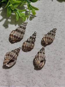 Pingente Caracol Pintado com Dourado (un)