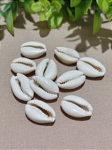 Búzios Natural (10un)
