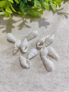 Concha Natural 20mm (10 un)