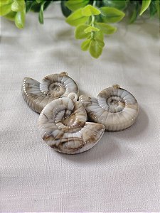 Pingente Caracol Resina 30mm (2un)