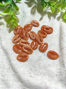 Búzios Resina 18mm Coral (10un)