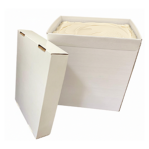 Caixa Térmica de Papelão 10L Branca (22x24x17,9cm) - Pacote com 10 unidades