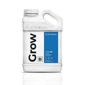 Athena Grow B 1gal