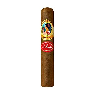 Charuto Dona Flor Robusto Seleção