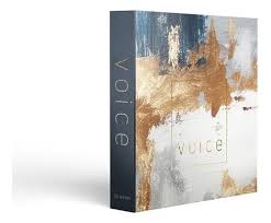 Livro caixa Voice
