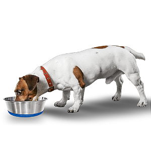 Comedouro Chalesco Tigela Duramax Inox 475ml