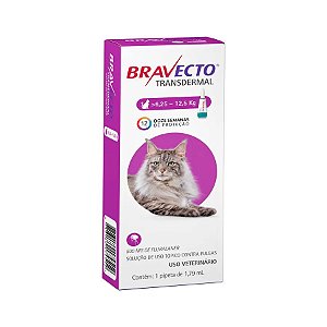 Bravecto Transdermal para Cães de 10 a 20 Kg - 500 mg - Mercado