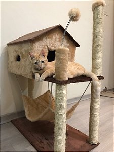Arranhador Para Gato Casinha com Rede