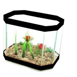 Beteira Jardim - Ipanema