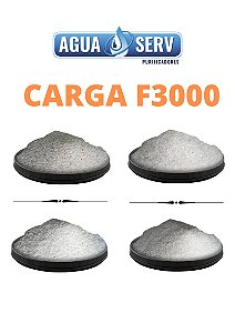 Carga F3000