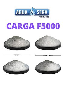 Carga F5000