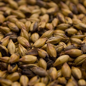 MALTE SPECIAL W - KG