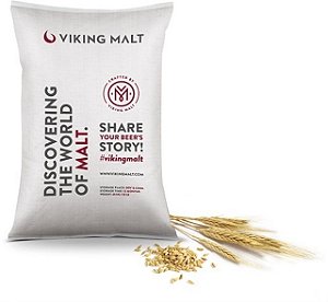 MALTE PALE ALE VIKING - 25Kg