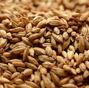 MALTE VIENNA AGRÁRIA